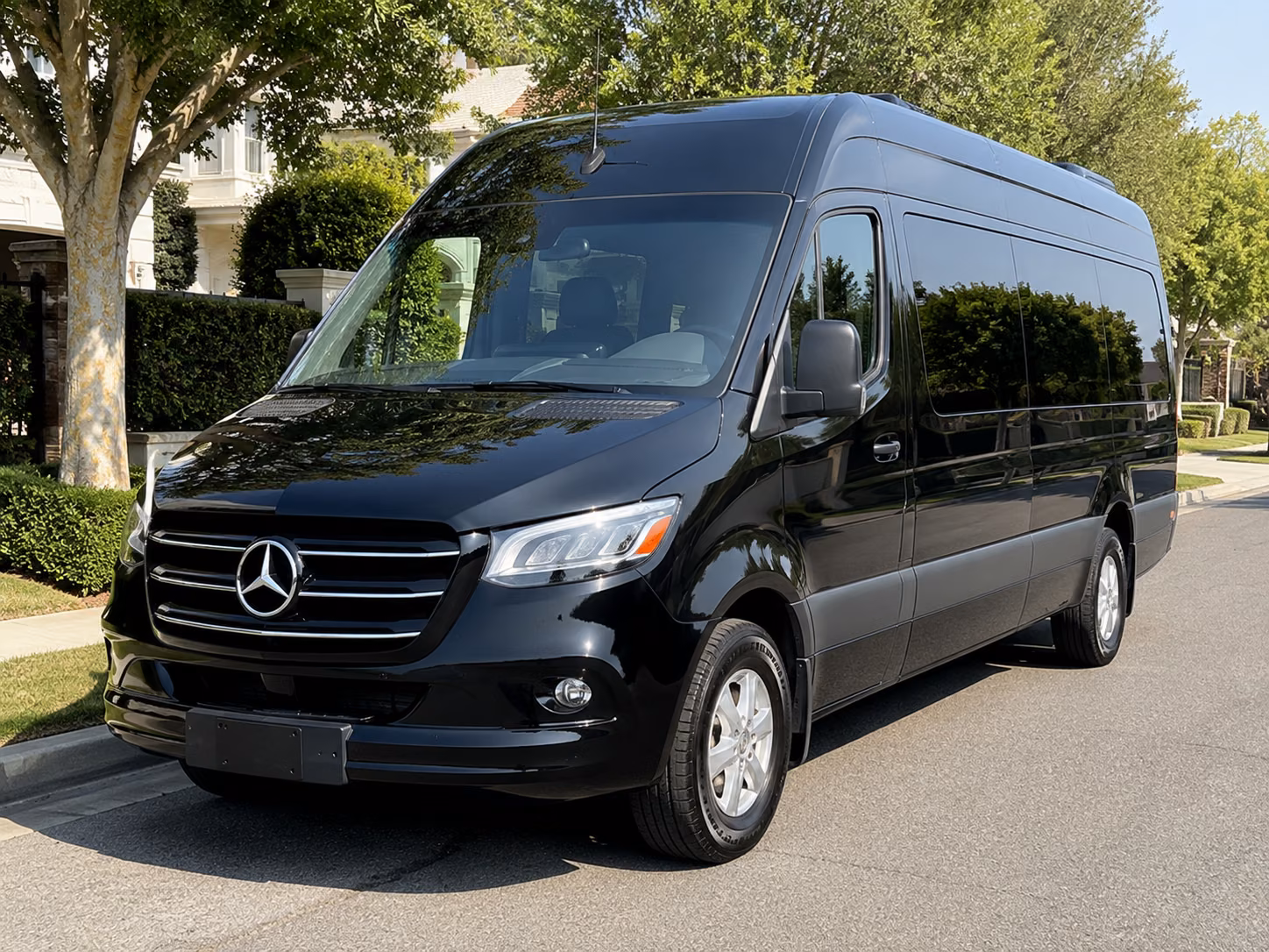 lakewood 12 passenger sprinter van
