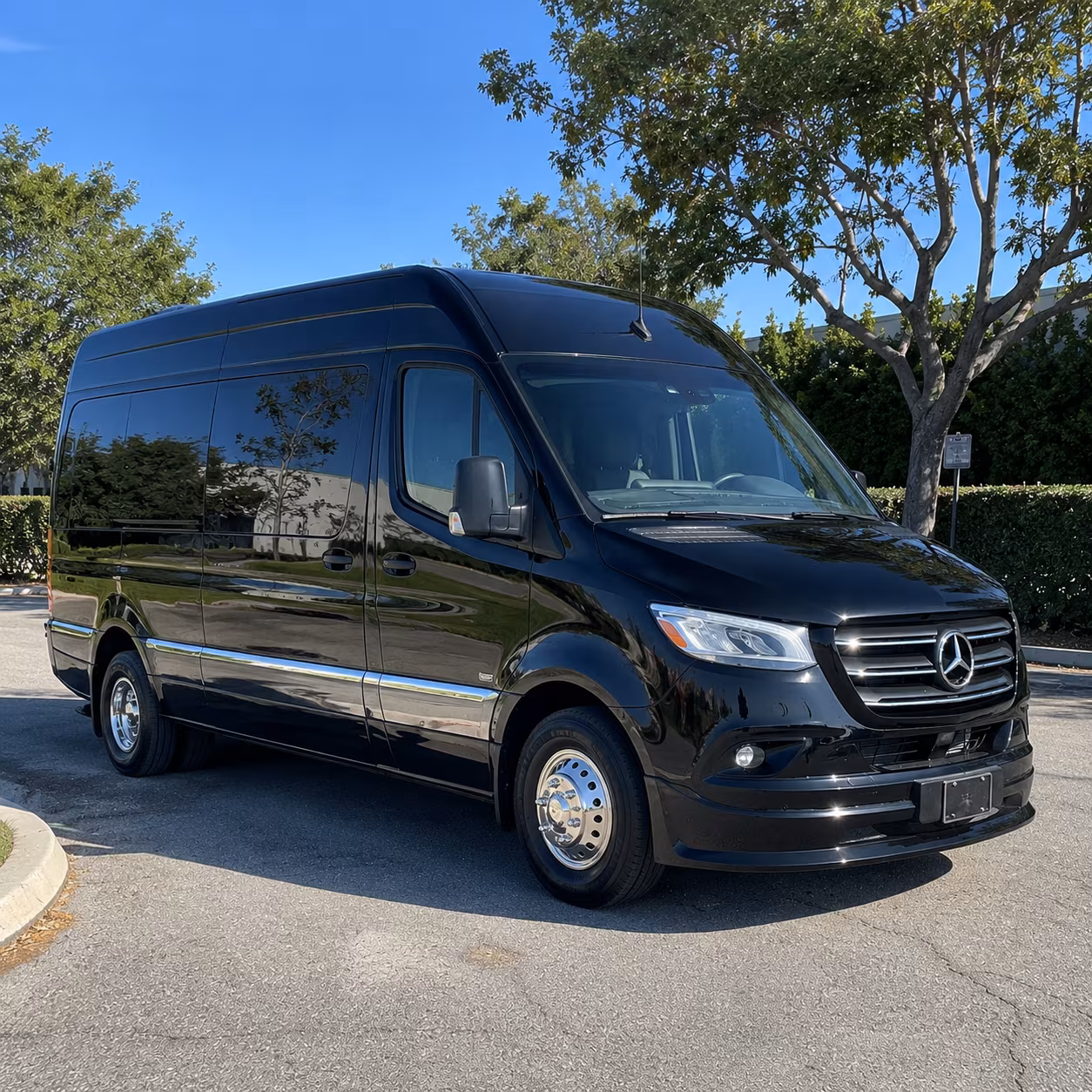 Lakewood Birthday Transportation